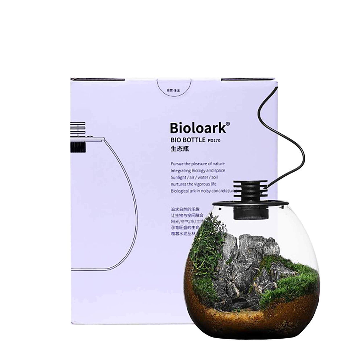 Bioloark 170 Nano Moss Terrarium - Rounded Wide 17.5 x 19.5cm 3w - In Store Pick Up Only