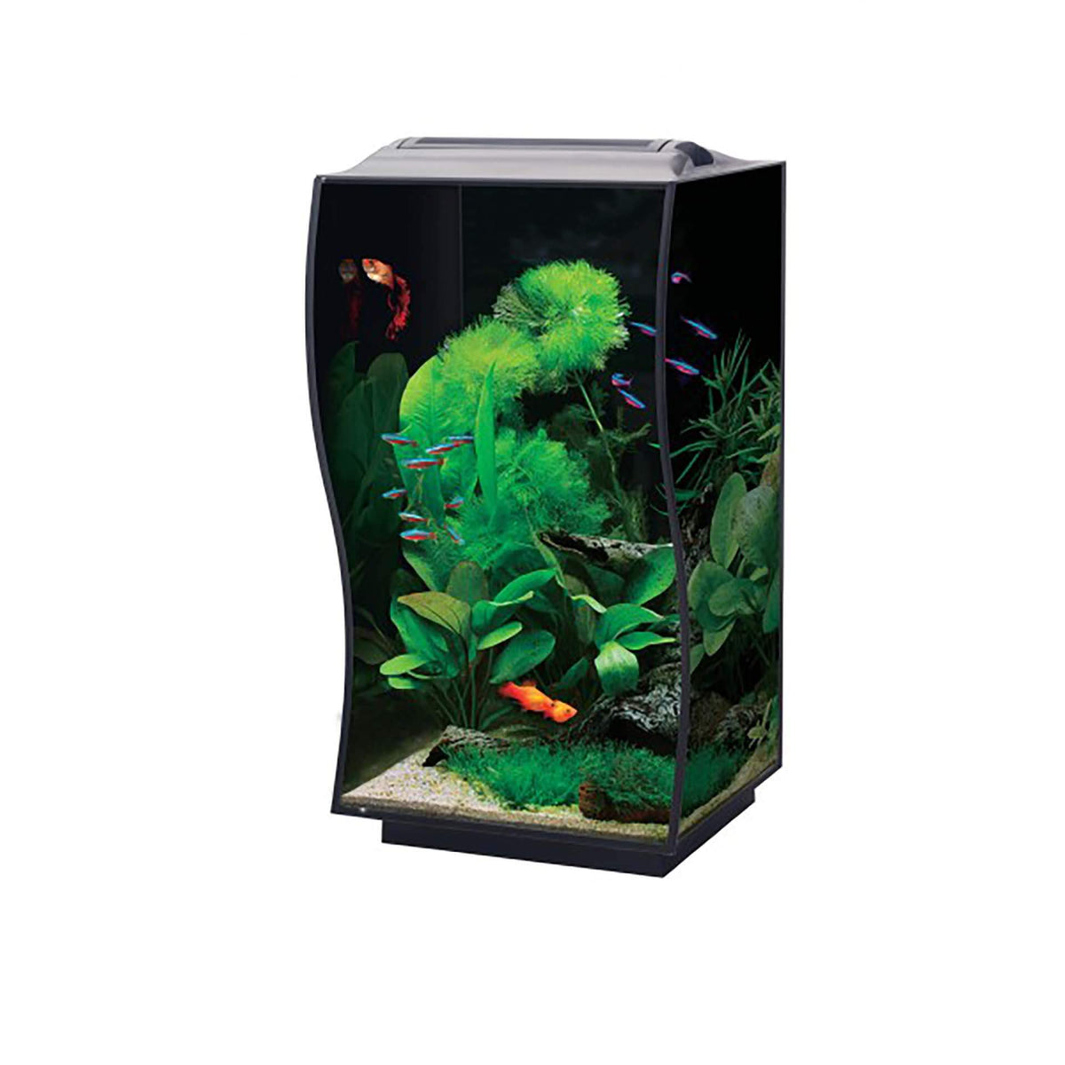 Bioscape CURVE Nano Aquarium Set Black 65L - 50 x 36 x 36cm - In Store Pick Up Only**