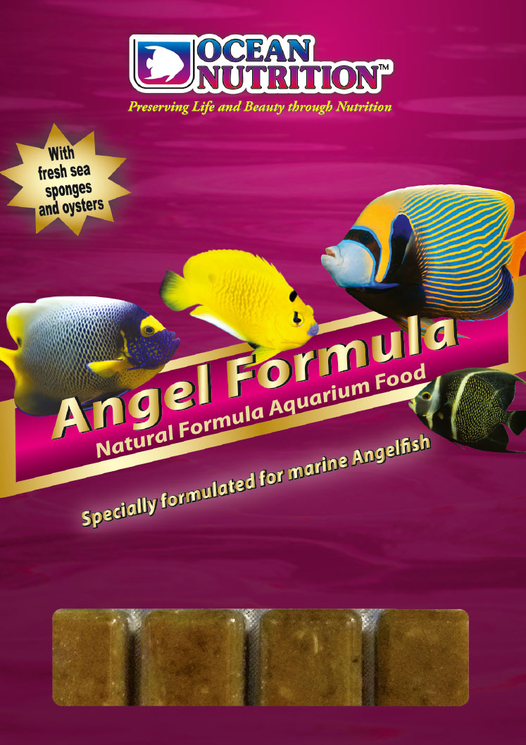 Ocean Nutrition Frozen Angel Formula 100g - In Store Pick up only!