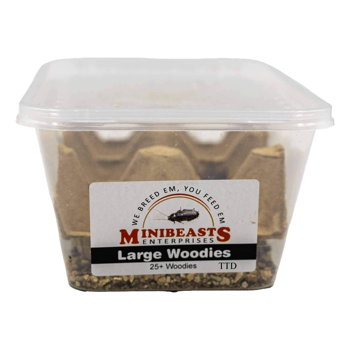 Minibeasts Woodies - Large - Live Food - Instore Pick Up Only