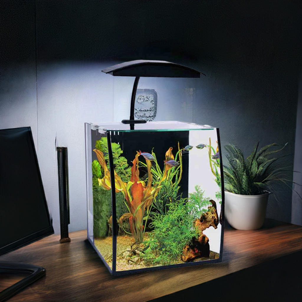 Aqua One Arc 16 Glass Aquarium 16Litres - 25L X 28D X 30cm H