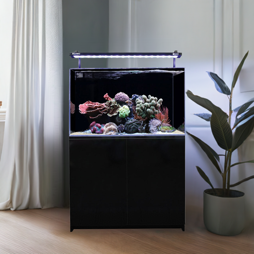 Aqua One Mini Reef 160 Marine Set 160l Black