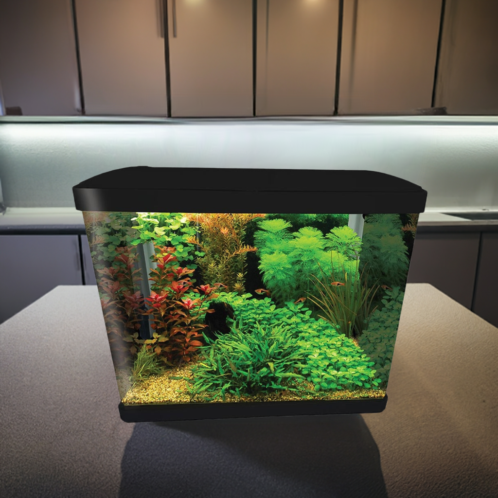 Aqua One Lifestyle 52 Aquarium Black