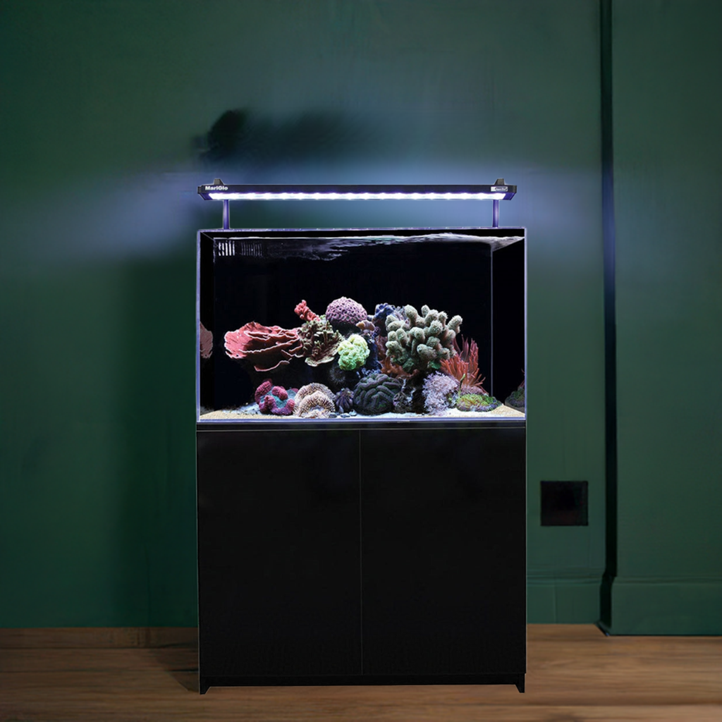 Aqua One Mini Reef 160 Marine Set 160l Black