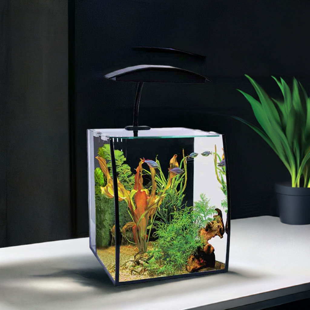 Aqua One Arc 16 Glass Aquarium 16Litres - 25L X 28D X 30cm H