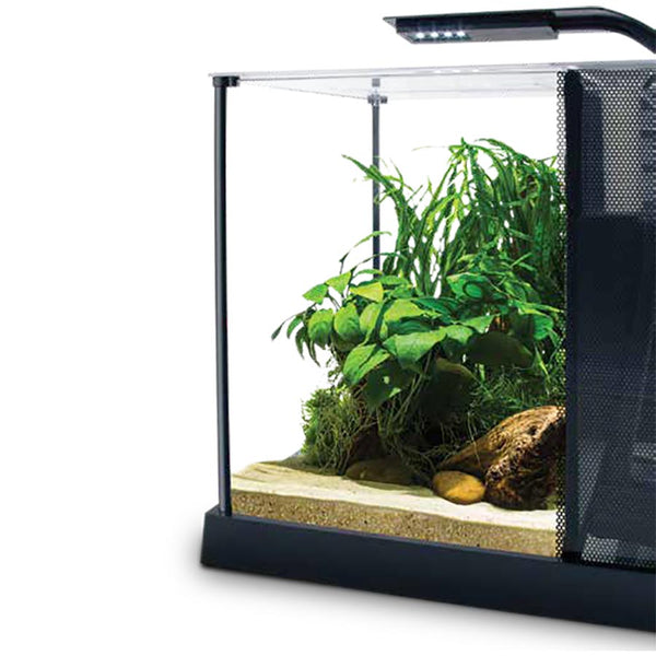 Fluval Betta Premium Aquarium Kit 10l - The Tech Den