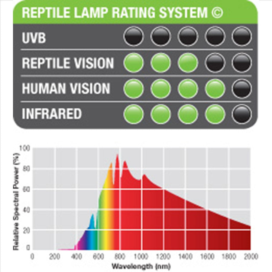 Exo Terra Halogen Basking Spot Lamp - 50 Watt